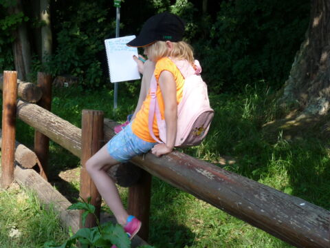 10. Peteršpurk (12)