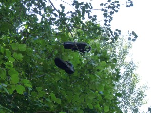 Tábor 2016, Pátek 19.8.2016 – fotka 24