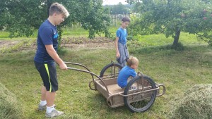 Tábor 2016, Pondělí 15.8.2016 – fotka 30