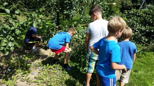 Tábor 2016, Pondělí 15.8.2016 – fotka 25