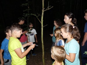 Tábor 2016, Sobota 13.8.2016 – fotka 56