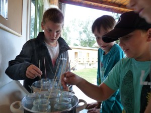 Tábor 2016, Pátek 19.8.2016 – fotka 99